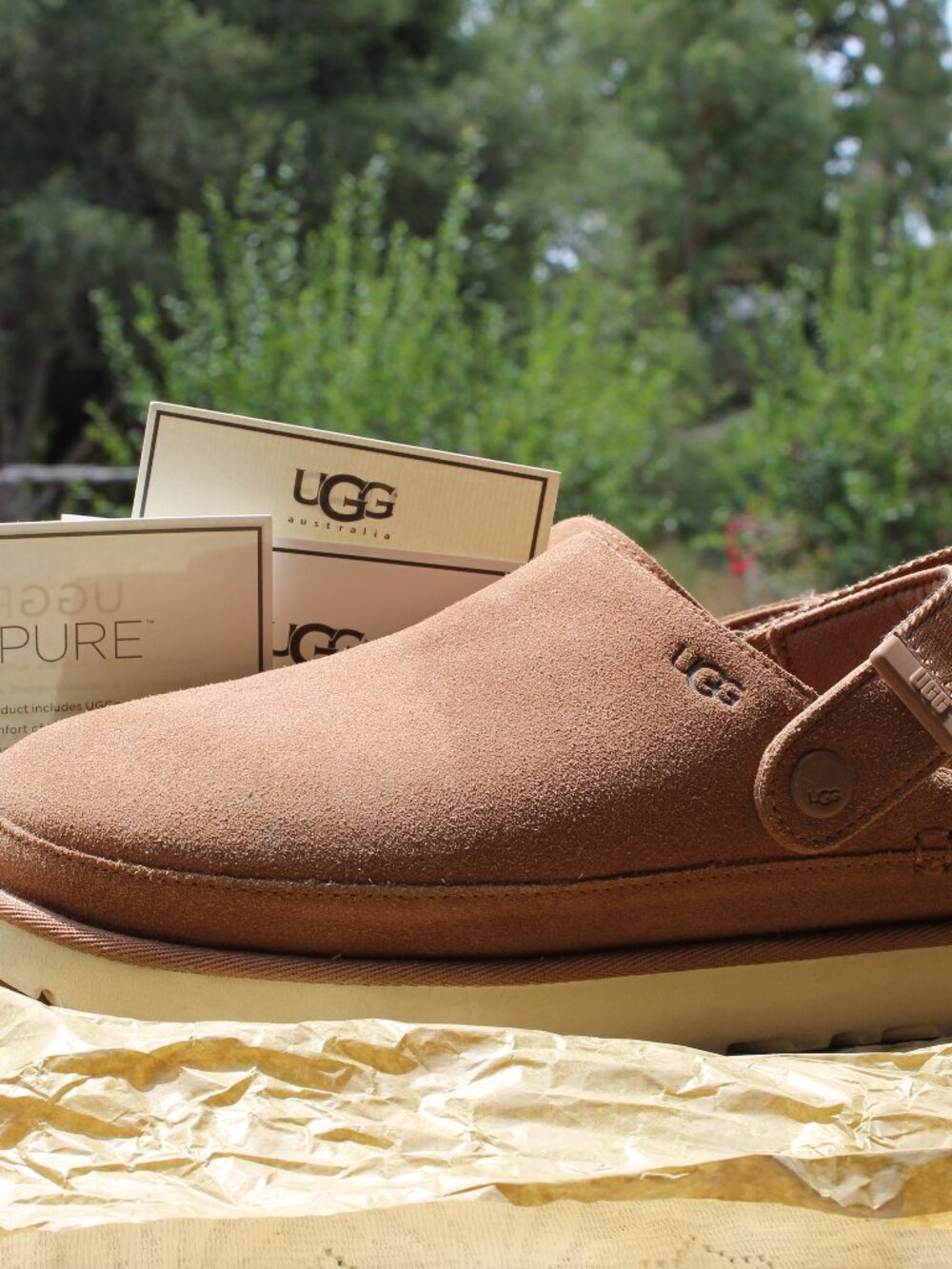 UGG Goldenstar Suede Family Matching Backstrap Clogs 9 - Picture 1 of 11